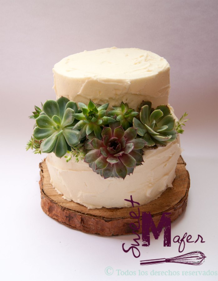torta-suculentas