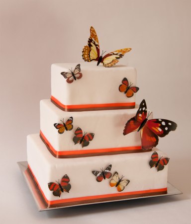 butterflies-cake