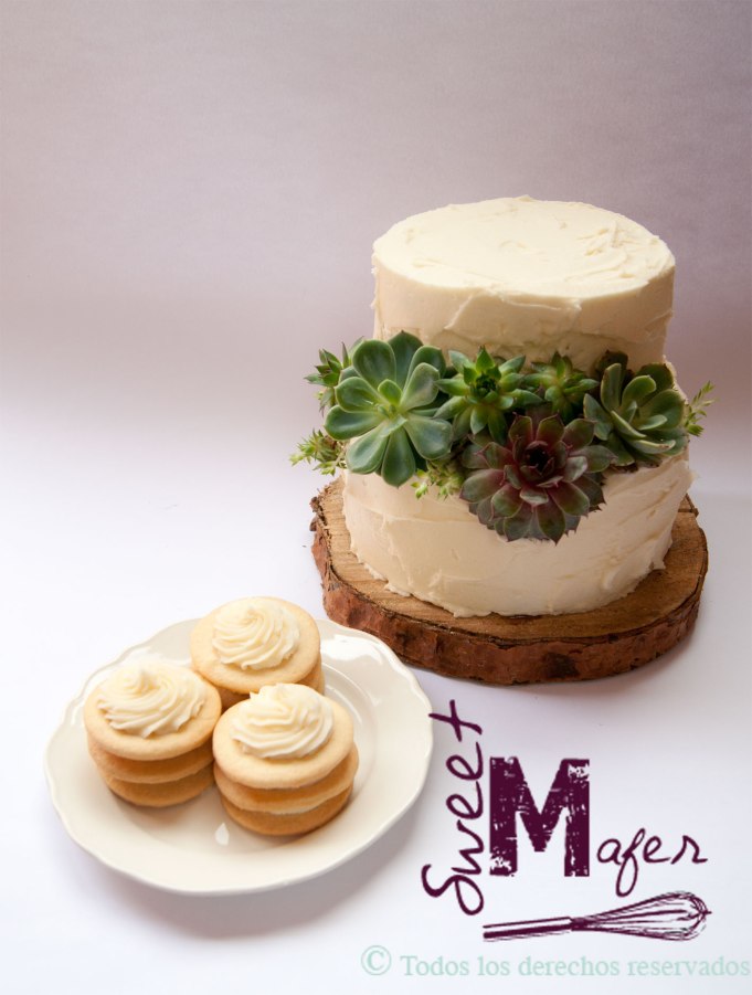 set-campo-suculentas