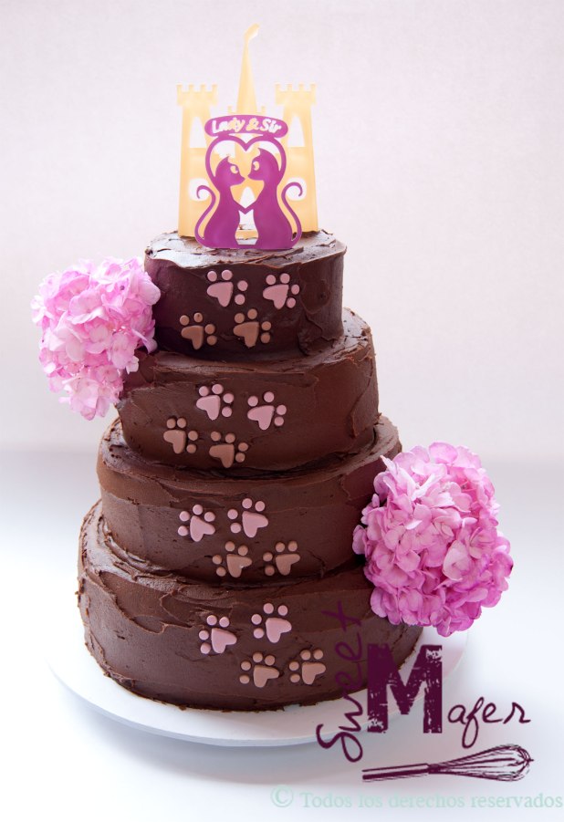 torta-gatos-chocolate