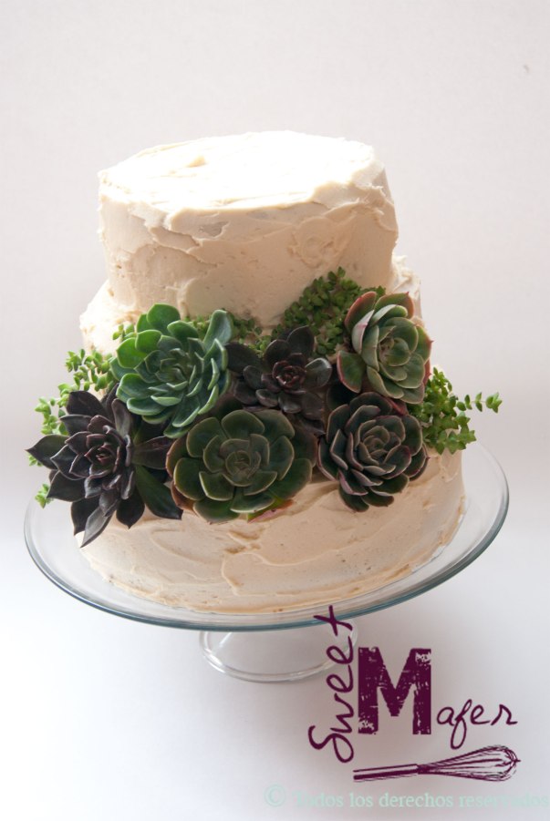 torta-suculentas