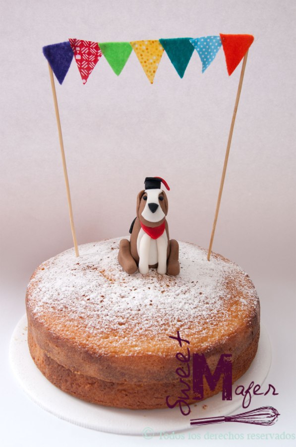 bizcocho-grado-perro1