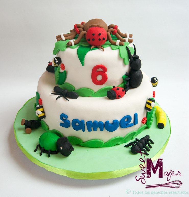 torta-insectos